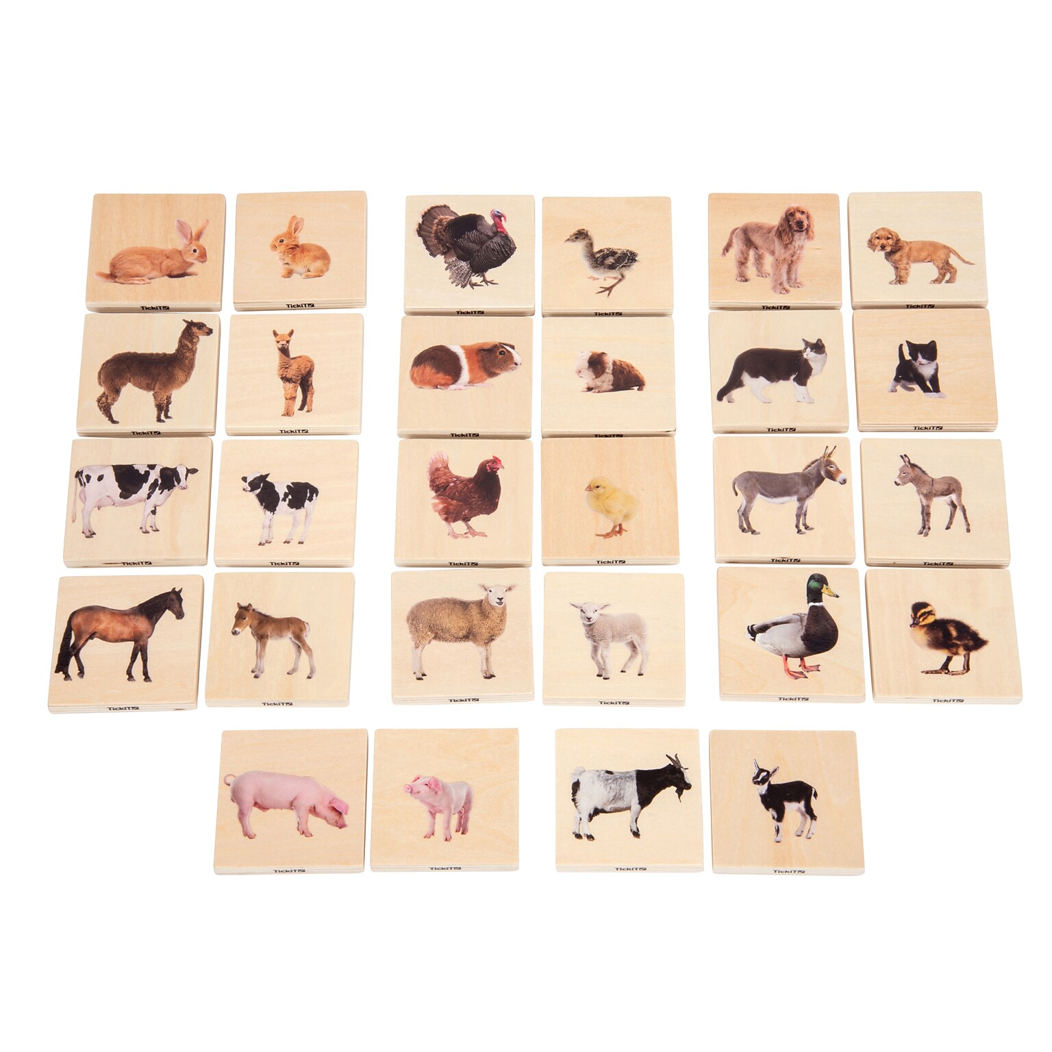 TickiT® Domestic Animal Family Match, Set of 28 (CTU73406)