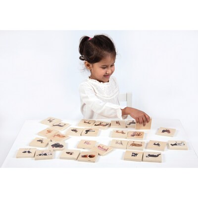 TickiT® Domestic Animal Family Match, Set of 28 (CTU73406)