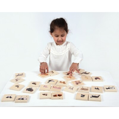 TickiT® Domestic Animal Family Match, Set of 28 (CTU73406)