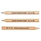 Dixon® Pre-Sharpened EnviroStiks Golf Pencils, #2 HB Lead, Pack of 144 (DIX15099)