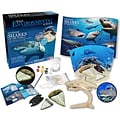 WILD! Science Extreme Science Kit, Sharks of the World (CTUWES942)