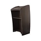 Oklahoma Sound Vision 46" Portable Lectern, Ribbonwood (611-RW)