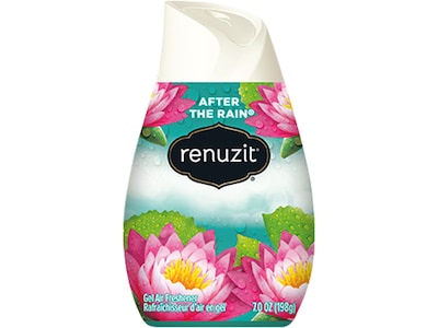 Renuzit Gel Air Freshener, After the Rain Scent, 7 Oz., 12/Carton (03663)