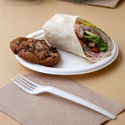 Eco-Products® Compostable Sugarcane Plates, 9", 50/Pack