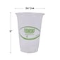 Eco-Products GreenStripe Cold Cups, 16 Oz., Transparent/Green, 500/Carton (EP-CC16-GS)