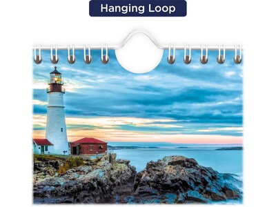 2023 AT-A-GLANCE Scenic 12 x 27 Three-Month Wall Calendar (DMW503-28-23)