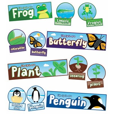 Carson Dellosa Education Life Cycles Bulletin Board Set (CD-110519)