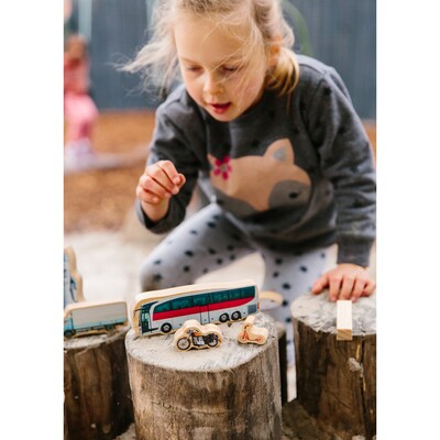 The Freckled Frog Getting Around, Set of 16 (CTUFF471)