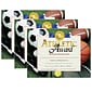 Hayes Publishing Athletic Award Certificates, 8.5" x 11", 30 Per Pack, 3 Packs (H-VA526-3)