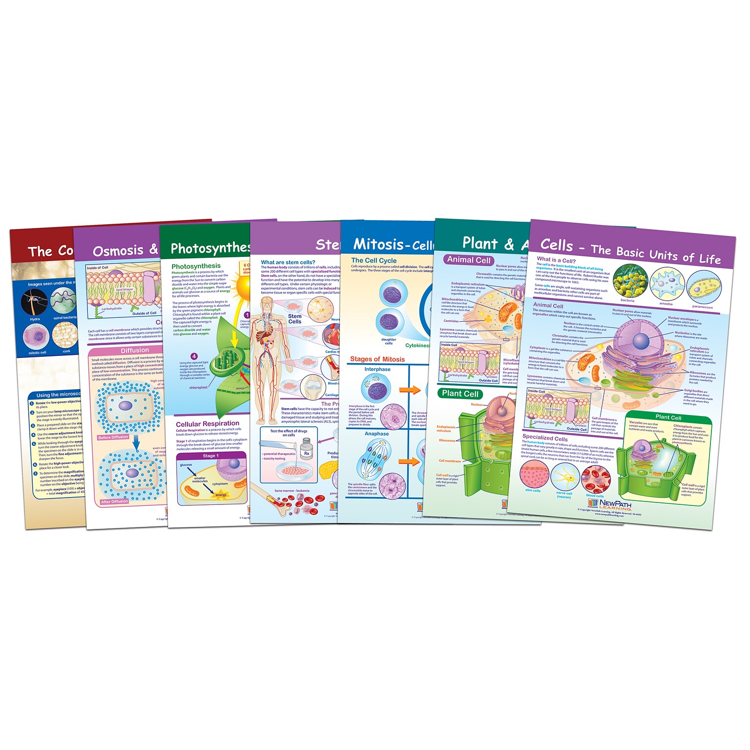 NewPath Learning Cells Bulletin Board Chart Set, Grades 3-5 (NP-947001)