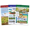 NewPath Learning Ecology Bulletin Board Chart Set, Grades 3-5 (NP-947007)