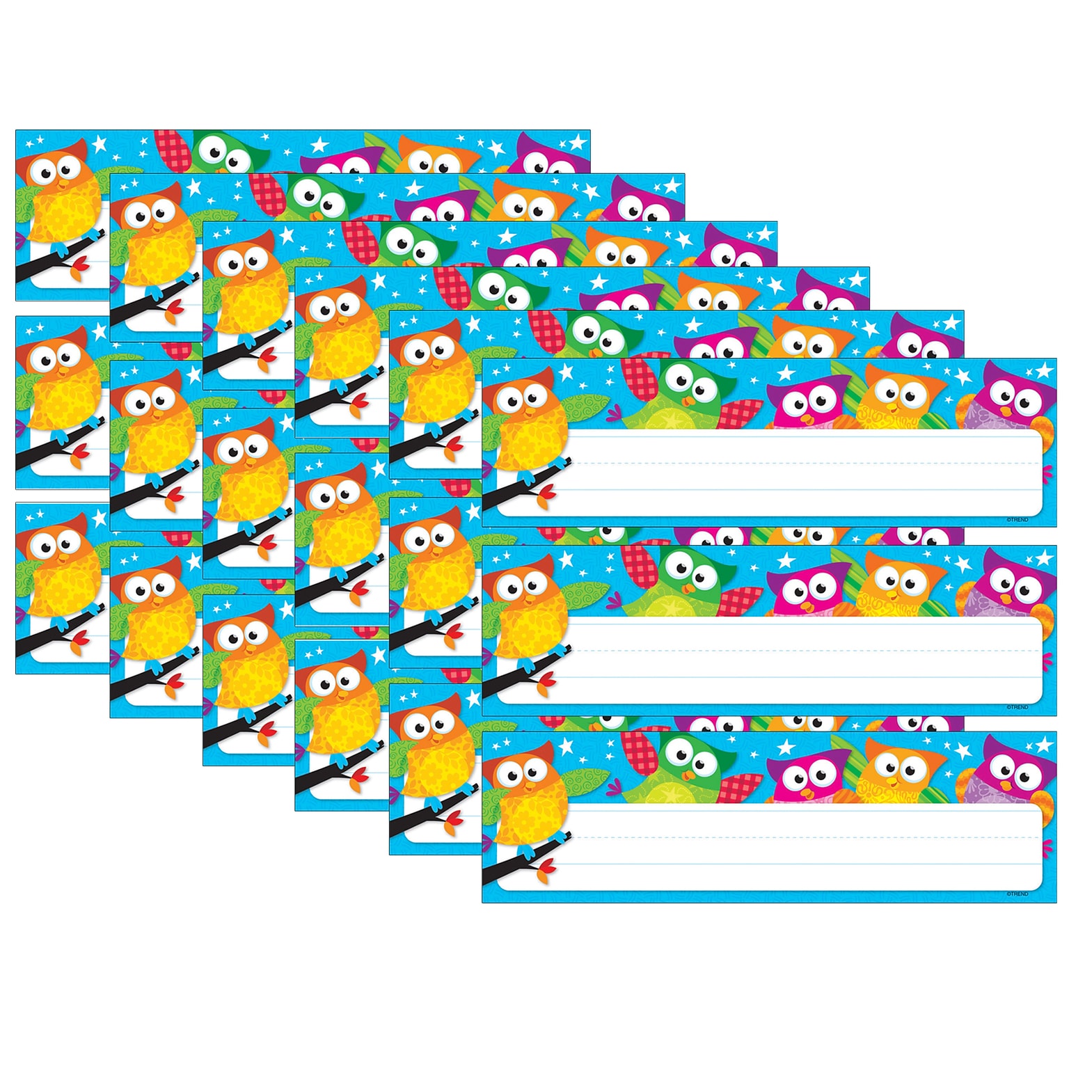 TREND Owl-Stars! Desk Toppers Nameplates, 2.875 x 9.5, 36 Per Pack, 6 Packs (T-69217-6)