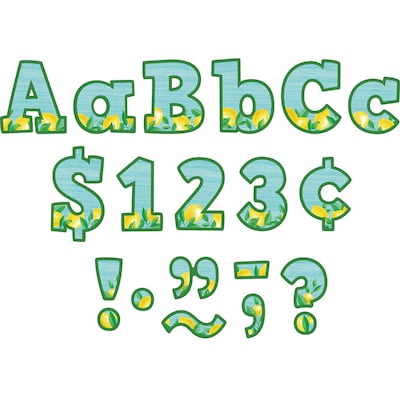 Teacher Created Resources® 4 Bold Block Letters Combo Pack, Lemon Zest, 230 Pieces (TCR8497)