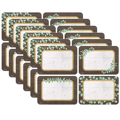 Teacher Created Resources® Eucalyptus Name Tags, 4 Designs, 3.5 x 2.5, 36 Per Pack, 6 Packs (TCR86