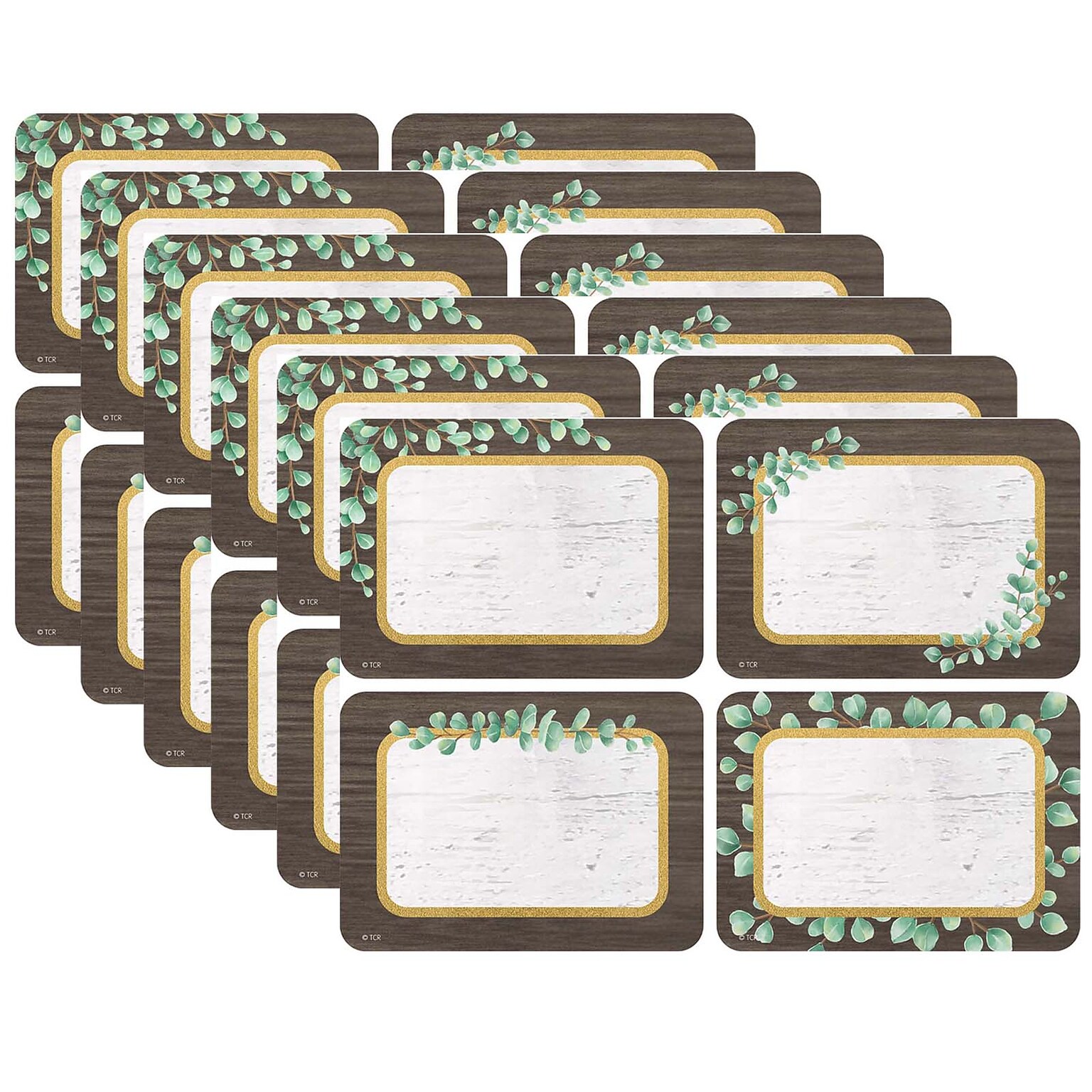 Teacher Created Resources® Eucalyptus Name Tags, 4 Designs, 3.5 x 2.5, 36 Per Pack, 6 Packs (TCR8692-6)