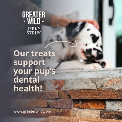Greater Wild Tender Jerky Strips for Dogs, Chicken, 17.6 oz. (PGN300010)