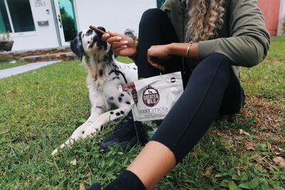 Greater Wild Tender Jerky Sticks for Dogs, Beef, 3 oz., 8/Pack (TBN203131)