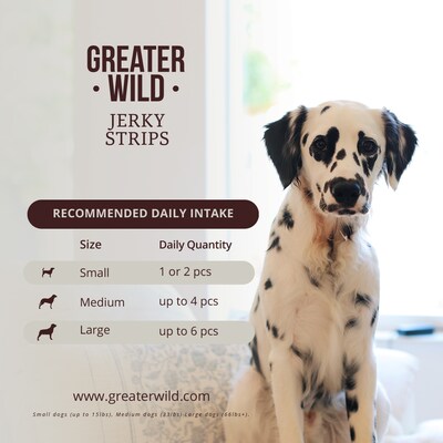 Greater Wild Tender Jerky Strips for Dogs, Beef, 2.3 oz., 8/Pack (TBN203133)