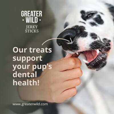 Greater Wild Tender Jerky Sticks for Dogs, Beef, 10 oz. (PGN300002)