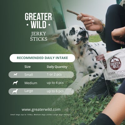 Greater Wild Tender Jerky Sticks for Dogs, Chicken, 17.6 oz. (PGN300006)