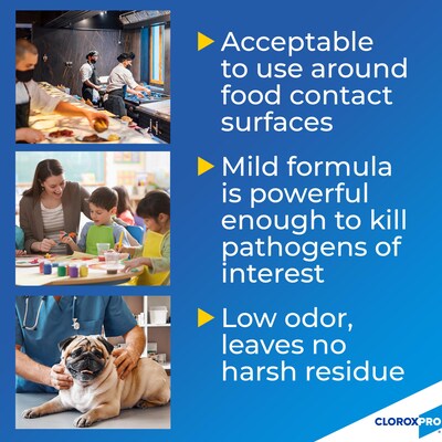 CloroxPro™ Anywhere® Daily Disinfectant and Sanitizer, 32 Fluid Ounces (Pack of 12)