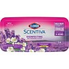 Clorox® Scentiva® Disinfecting Wet Mopping Pad Refills, Bleach Free, Tuscan Lavender & Jasmine, 24 C