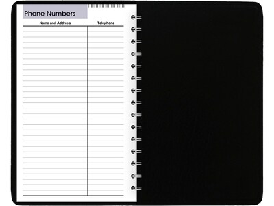 2023 AT-A-GLANCE DayMinder 5" x 8" Daily Planner, Black (SK46-00-23)