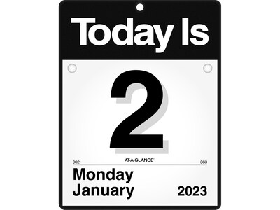 2023 AT-A-GLANCE Today Is 9.5 x 12 Daily Wall Calendar, Black/White (K4-00-23)
