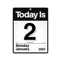 2023 AT-A-GLANCE Today Is 9.5 x 12 Daily Wall Calendar, Black/White (K4-00-23)