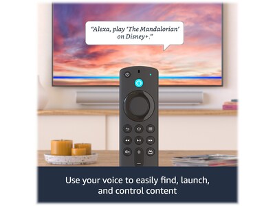   Fire TV Stick 4K Max with USB Power Cable (eliminates  the need for AC adapter) : Everything Else