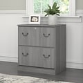 Bush Furniture Saratoga 2-Drawer Lateral File Cabinet, Locking,  Modern Gray (EX45854-03)