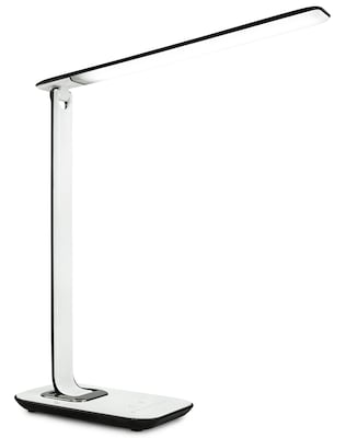 Simple Designs Basic Metal Desk Lamp with Flexible Hose Neck - Black