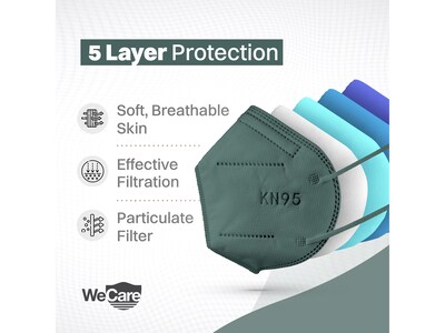 WeCare Disposable KN95 Face Mask, Adult, Dark Green, 20 Masks/Box, 3 Boxes/Pack (TBN203227)