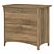 Bush Furniture Salinas 2-Drawer Lateral File Cabinet, Letter/Legal, Reclaimed Pine, 31.73 (SAF132RC