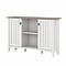 Bush Furniture Salinas 29.96 Accent Storage Cabinet with 3 Shelves, Shiplap Gray/Pure White (SAS147