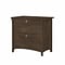 Bush Furniture Salinas 2-Drawer Lateral File Cabinet, Letter/Legal, Ash Brown, 31.73 (SAF132ABR-03)