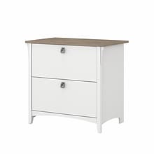Bush Furniture Salinas 2-Drawer Lateral File Cabinet, Letter/Legal, Shiplap Gray/Pure White, 31.73