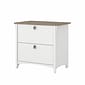 Bush Furniture Salinas 2-Drawer Lateral File Cabinet, Letter/Legal, Shiplap Gray/Pure White, 31.73" (SAF132G2W-03)