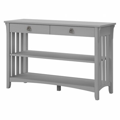 Bush Furniture Salinas 48" x 16" Console Table with Drawers and Shelves, Cape Cod Gray (SAT148CG-03)