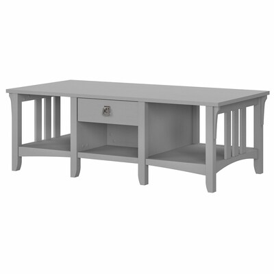 Bush Furniture Salinas 48 x 16 Coffee Table with Storage, Cape Cod Gray (SAT248CG-03)