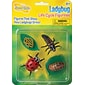 Ladybug Life Cycle Stages