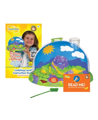 Insect Lore Ladybug Land Hatching Kit (ILP2100)