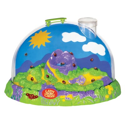 Insect Lore Ladybug Land Hatching Kit (ILP2100)