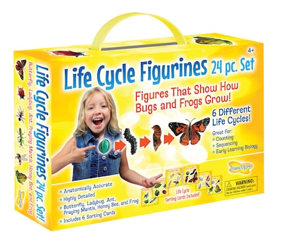 Insect Lore Life Cycle Figurines Set, 24 Pieces (ILP2205)