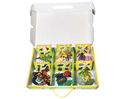 Insect Lore Life Cycle Figurines Set, 24 Pieces (ILP2205)