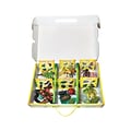Insect Lore Life Cycle Figurines Set, 24 Pieces (ILP2205)
