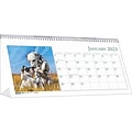 2023 House of Doolittle Puppies 8.5 x 4.25 Monthly Desk Calendar (3659-23)
