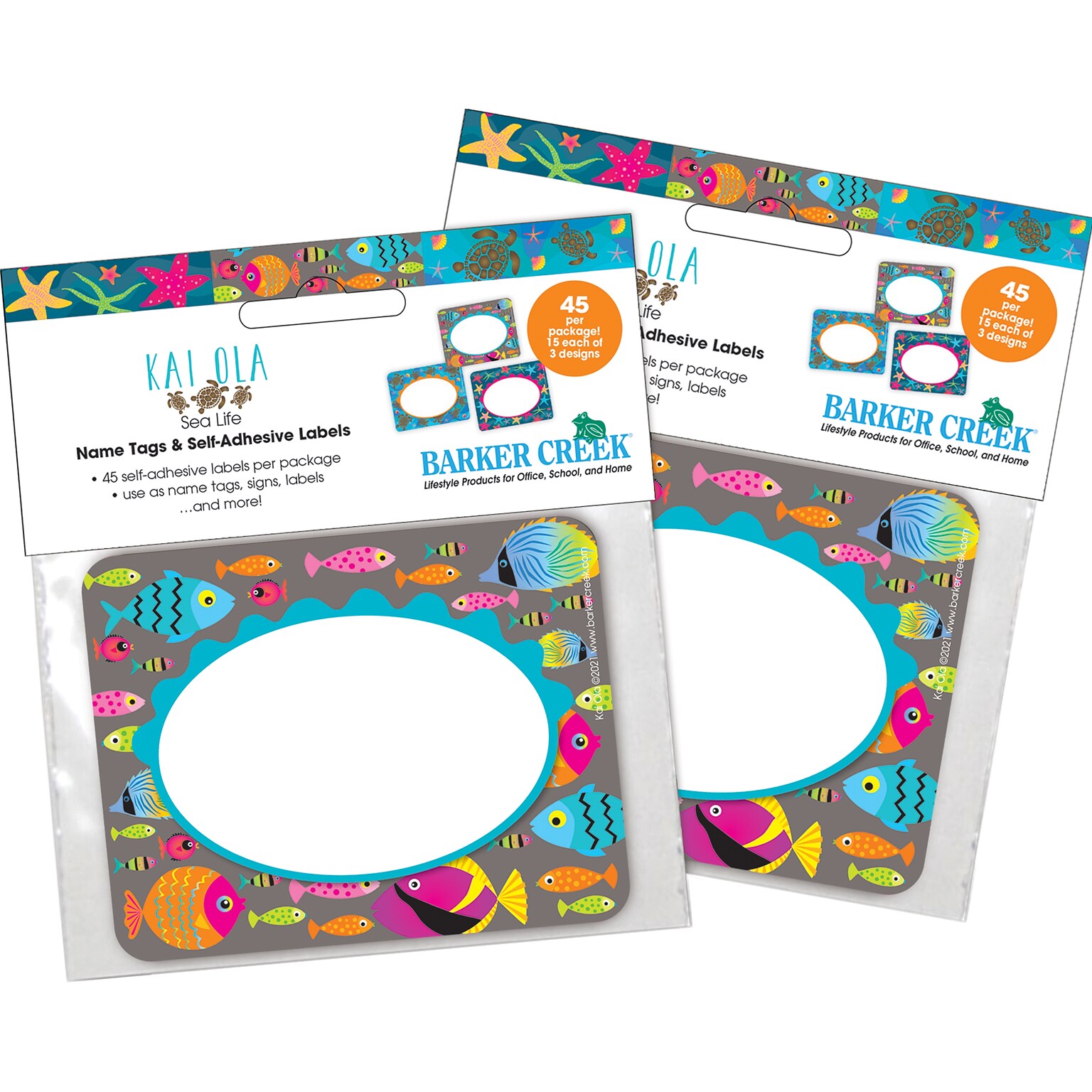 Barker Creek Kai Ola Name Tags/Self-Adhesive Labels, Multi-Design Set, 90/Set (4312)