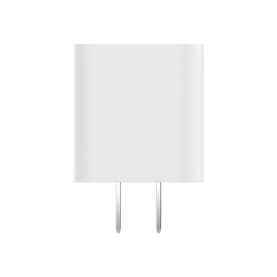 Cygnett PowerPlus 20-Watt USB-C Wall Charger with Power Delivery, White (CY3723PDWLCH)
