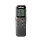 Philips VoiceTracer Digital Voice Recorder, 8GB, Black (DVT1120)